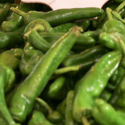 Friggitello napoletano