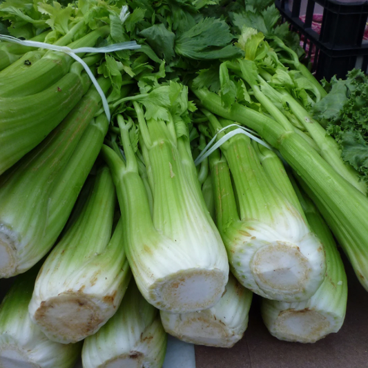 Ricetta pasta sedano bottarga